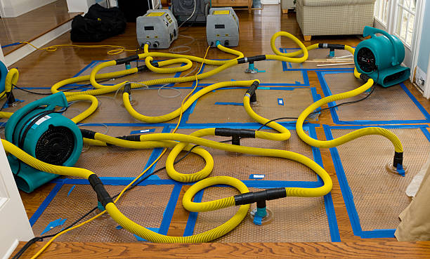 Professional Structural Drying And Dehumidification technician working in Waynesville, OH